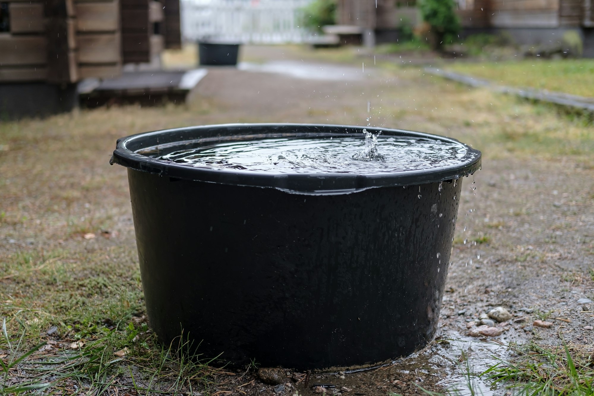 Vandskade efter regn og skybrud - Hvad gør man